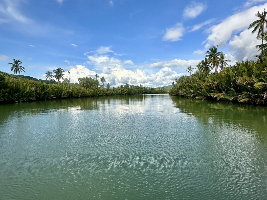 Loboc River-薄荷岛必去景点