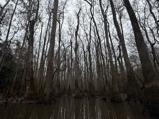 Carolina Outdoor Adventures-厄莫必去景点