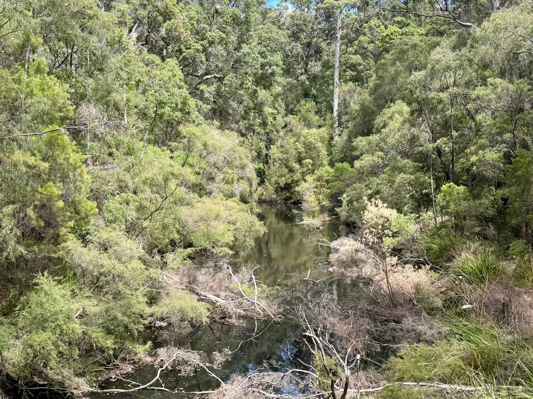 Pemberton Tramway-彭伯顿必去景点