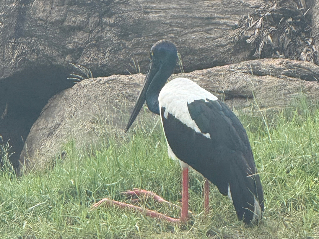 Lanka Tracker - Day Tours-马塔拉必去景点