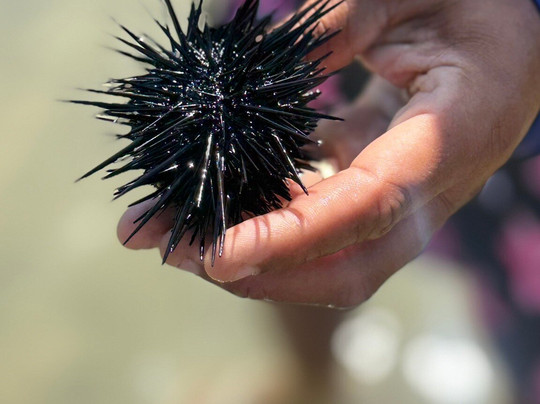 Heraldo Jr. Turismo e Receptivo-Maceio必去景点