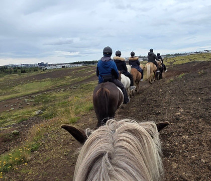 冰岛骑马之旅-雷克雅未克必去景点
