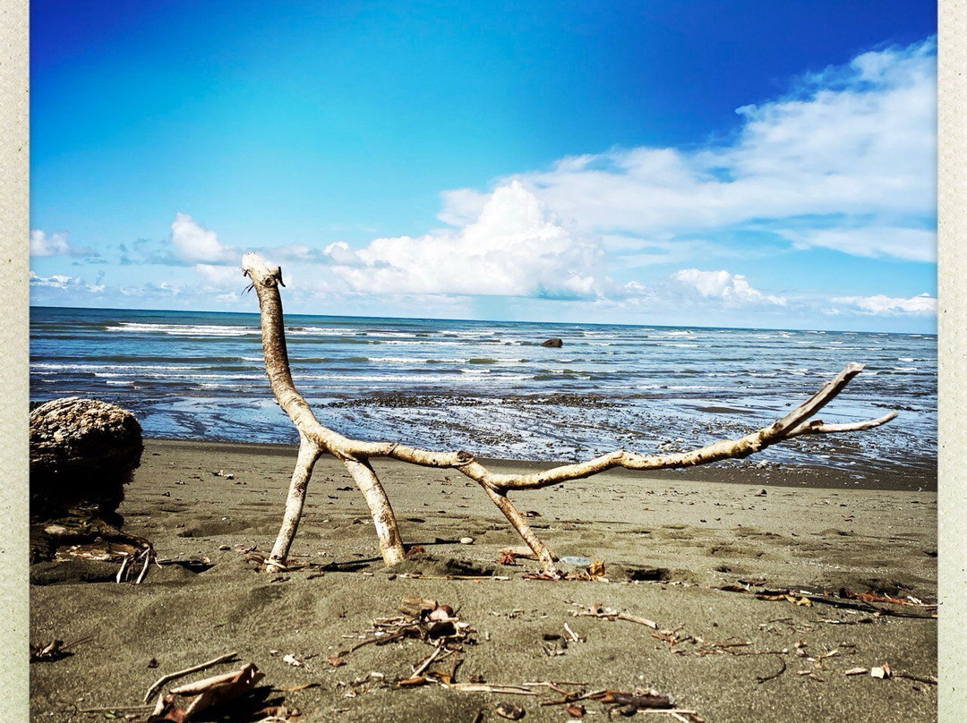 Jaguar Corcovado Tours-希门尼斯港必去景点