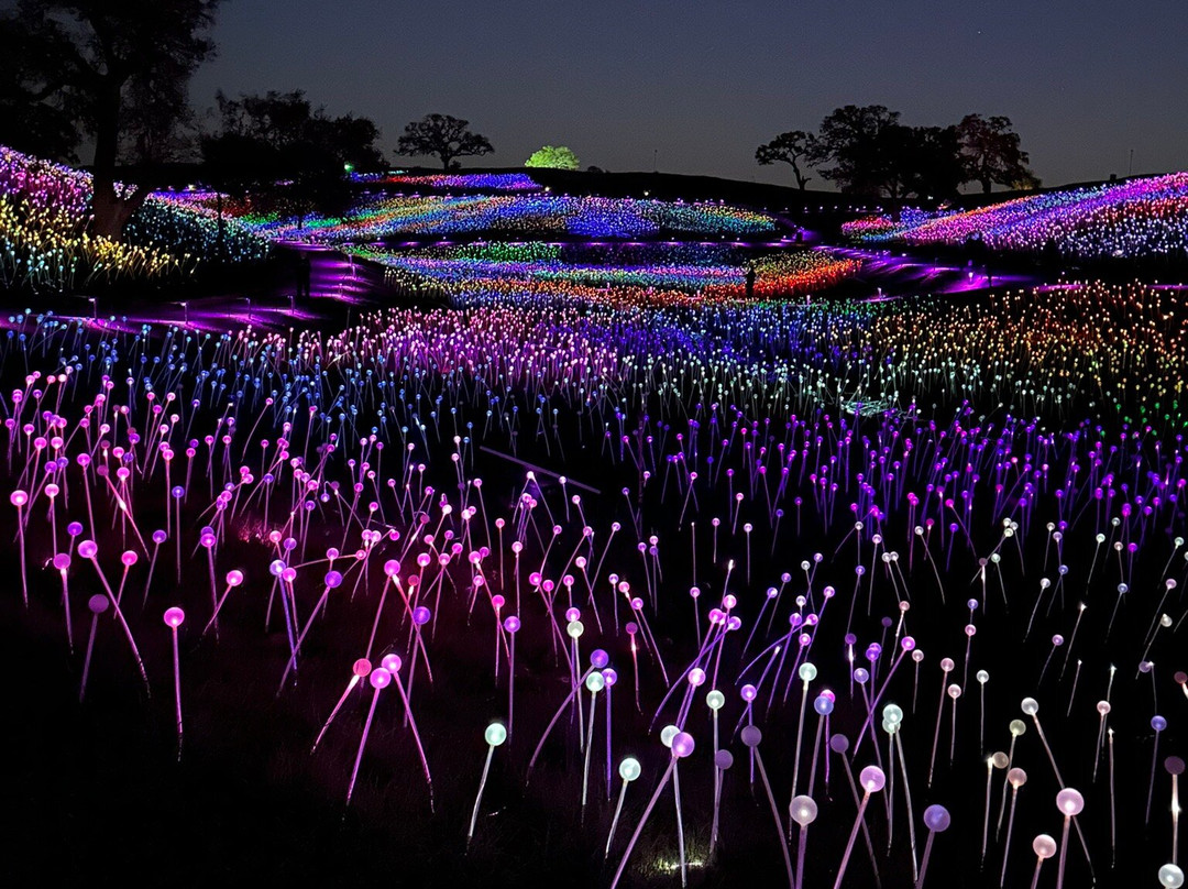 Sensorio-帕索罗布尔斯必去景点