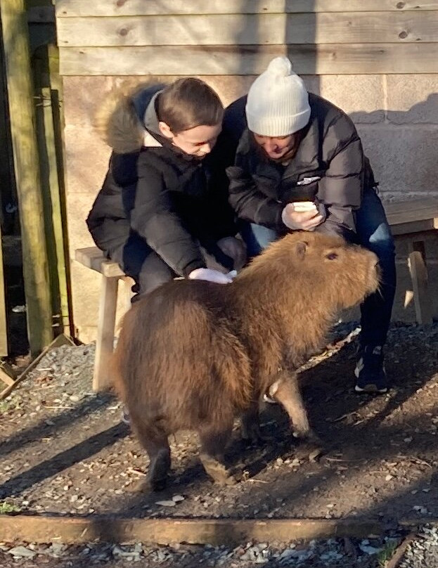 Wild Discovery-普雷斯顿必去景点
