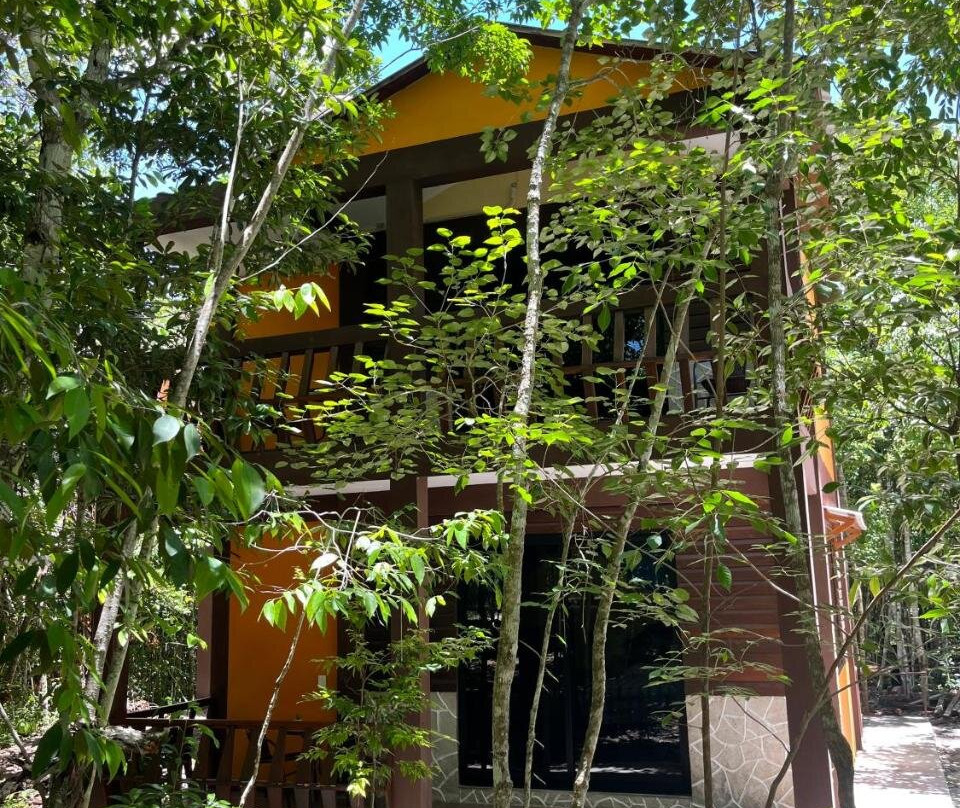 Cabañas Xpujil Calakmul Campeche con vista a la Selva