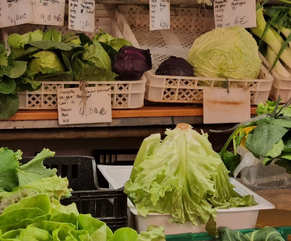 Mercado de Campo de Ourique-里斯本必去景点