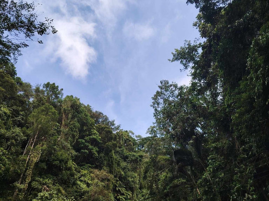 Panicuason Hot Spring Resort-纳加必去景点