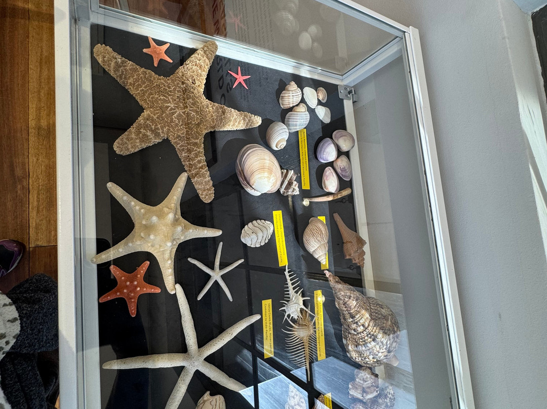 Namibia Maritime Museum-吕德里茨必去景点