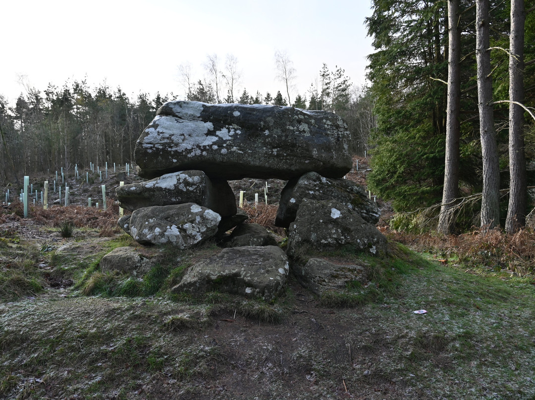 Druids Temple-里彭必去景点