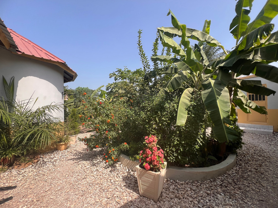 Senegambia Birding-Mandinari必去景点