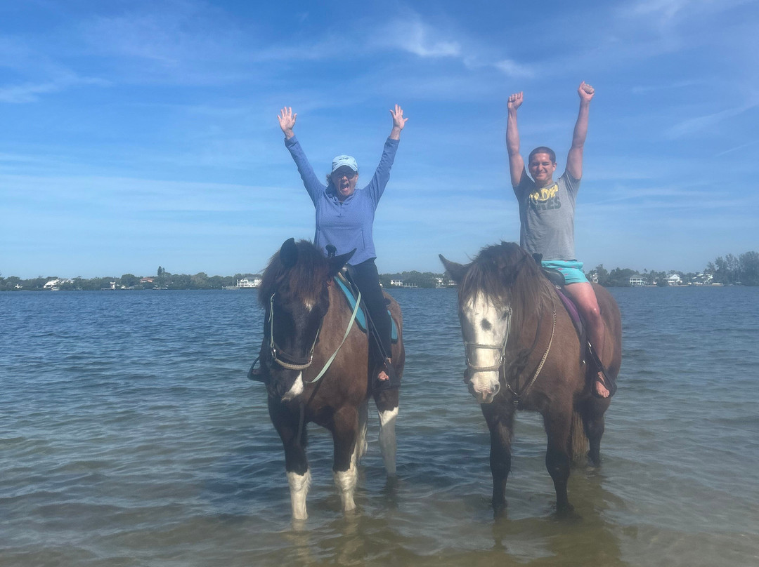 Florida Beach Horses-布雷登顿必去景点