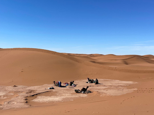 Mélodie du désert-迈哈米德必去景点