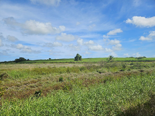 Beauport le Pays de la Canne-Port-Louis必去景点