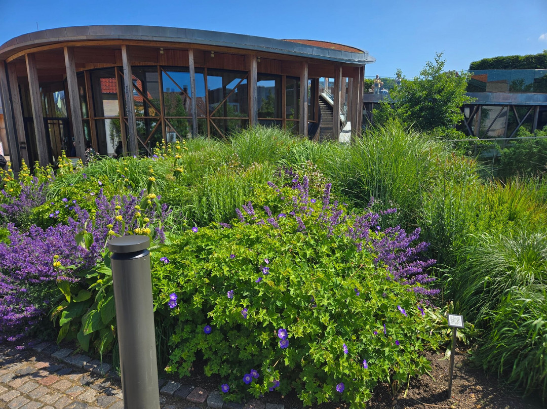 安徒生博物馆-欧登塞必去景点