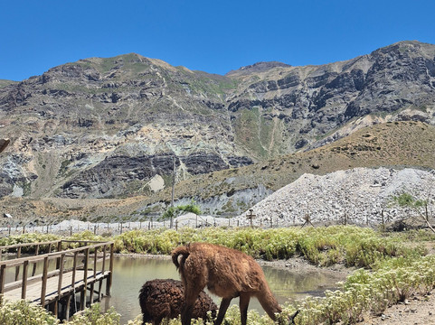 Danny Travel Tourism-圣地亚哥必去景点