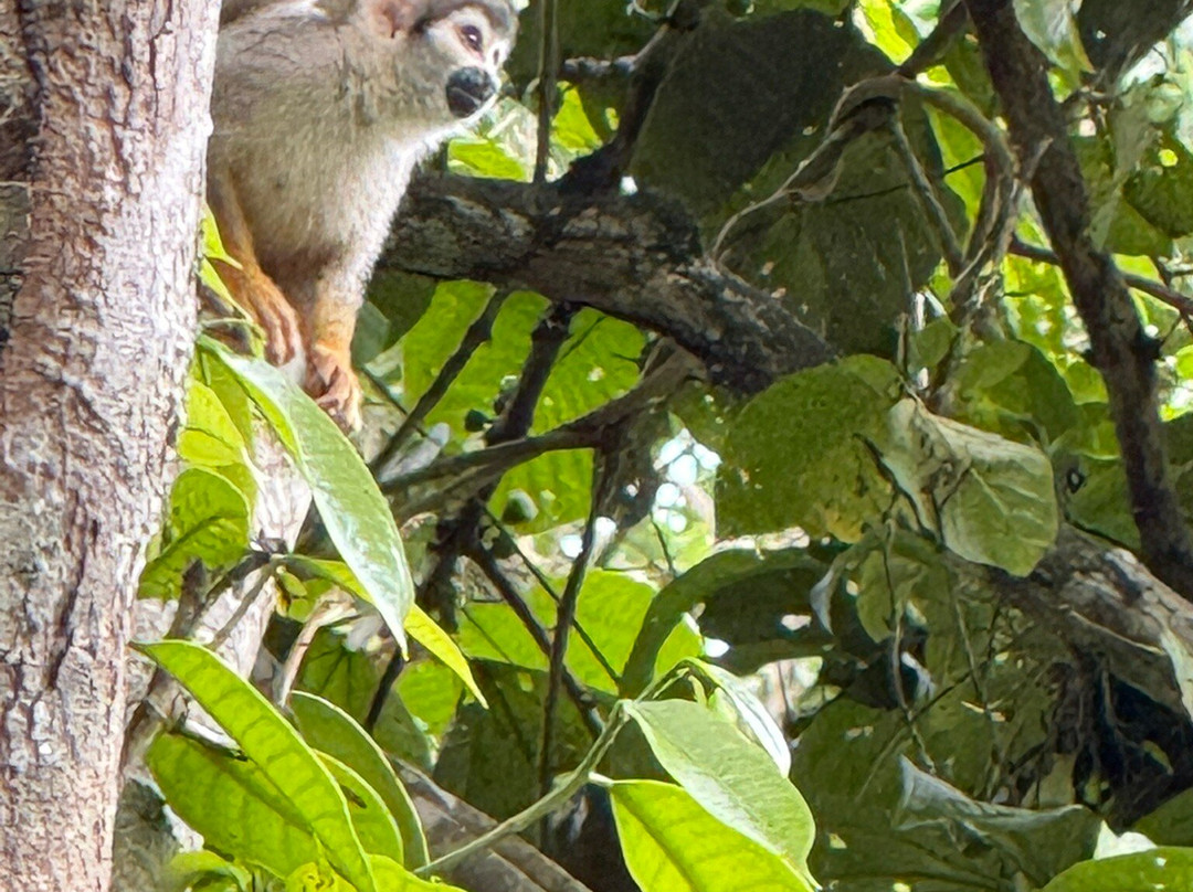 Runawa Tours-Misahualli必去景点