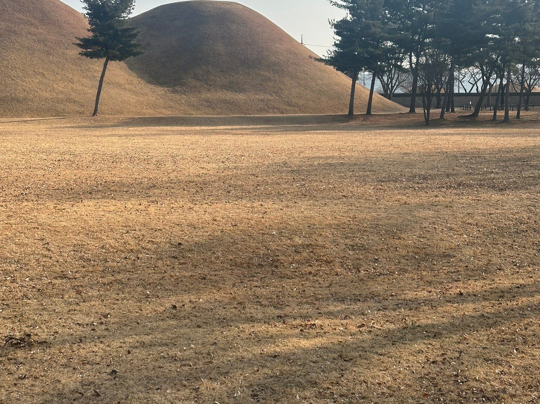Daereungwon Tomb Complex-庆州市必去景点