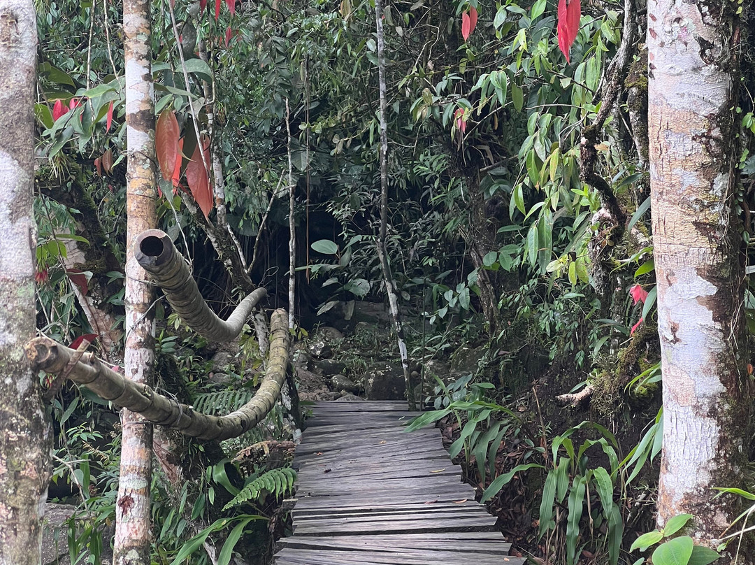 Esmeralda Ecotours San Rafael-San Rafael必去景点