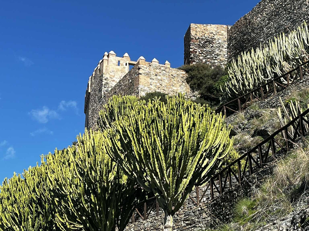 Castillo de San Miguel-阿尔穆涅卡尔必去景点