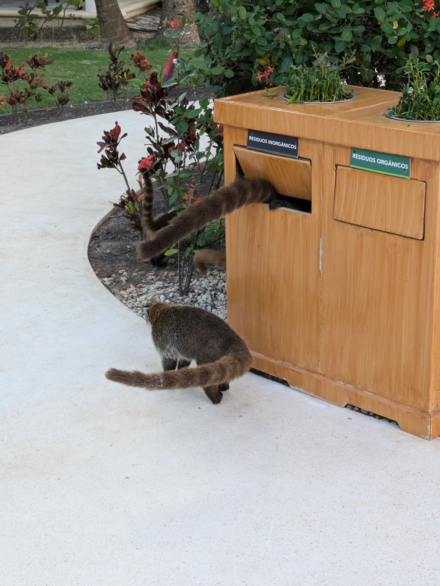 卡里司马埃尔多拉多马罗马全包酒店-浴室