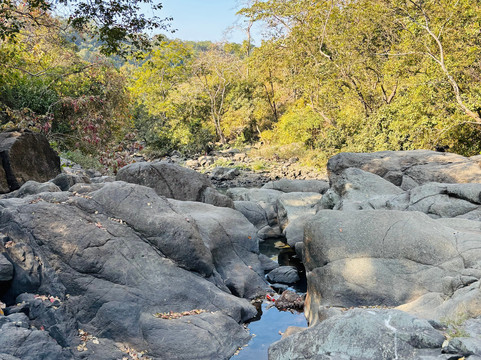 Jungle Buddies Tours-孟买必去景点