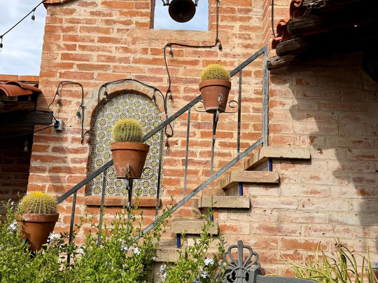 Tohono Chul-图森必去景点