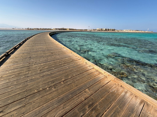 ORCA Dive Club Soma Bay-索马湾必去景点