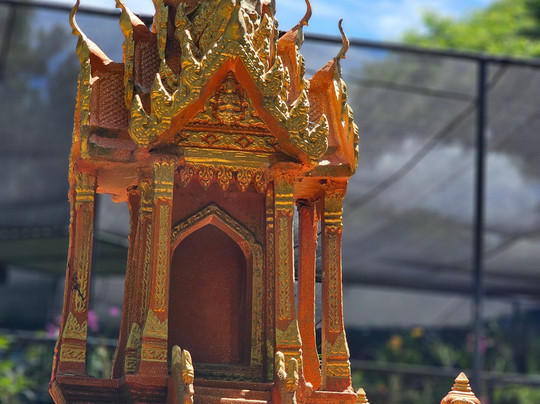 National Orchid Garden-莫尔兹比港必去景点