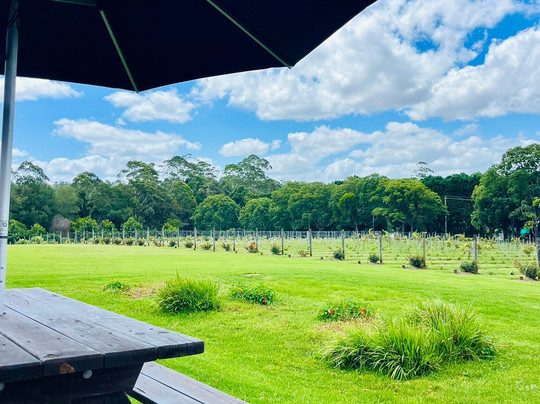 Cauldron Distillery And Estate-丹百林山必去景点