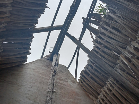 Guardianes De Los Manglares De Dzinintún-塞莱斯顿必去景点