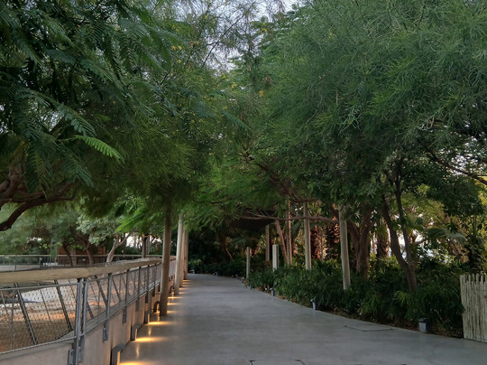 Dubai Crocodile Park-迪拜必去景点