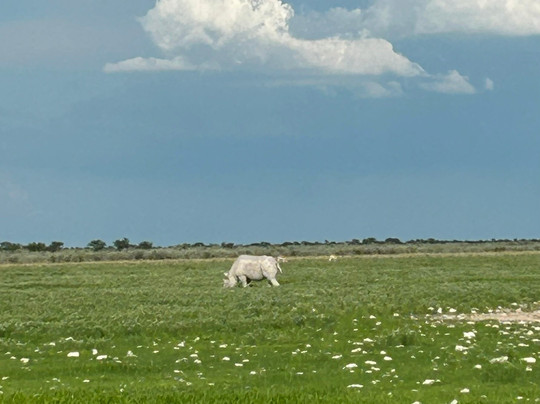 Africa's Best Adventures-开普敦必去景点