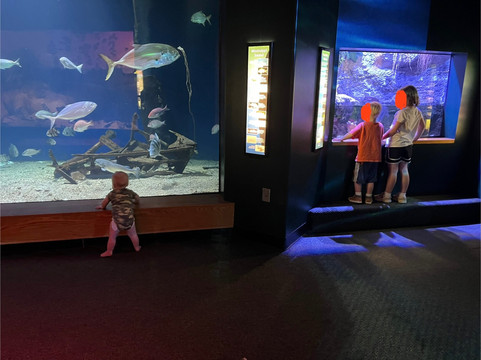 密西西比州自然科学博物馆-杰克逊必去景点