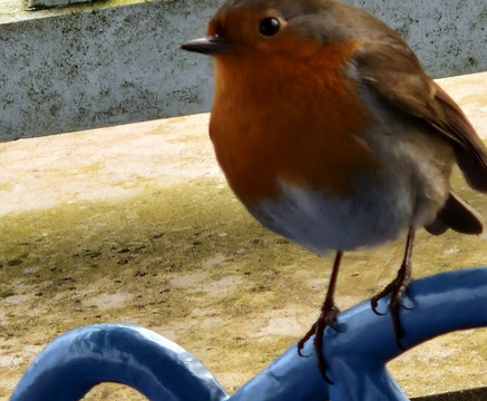 Dumfries House-Cumnock必去景点