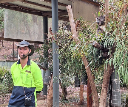 Jirrahlinga Dingo Conservation & Wildlife Education Centre-Chewton必去景点