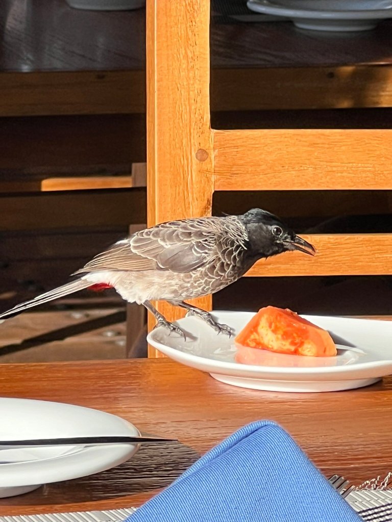 梅尔海姆度假酒店-官方