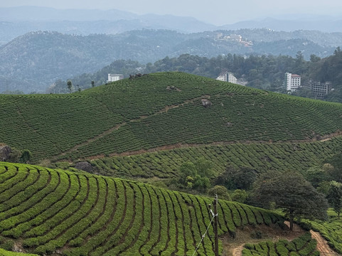 Kochi Taxi 24X7-柯钦必去景点