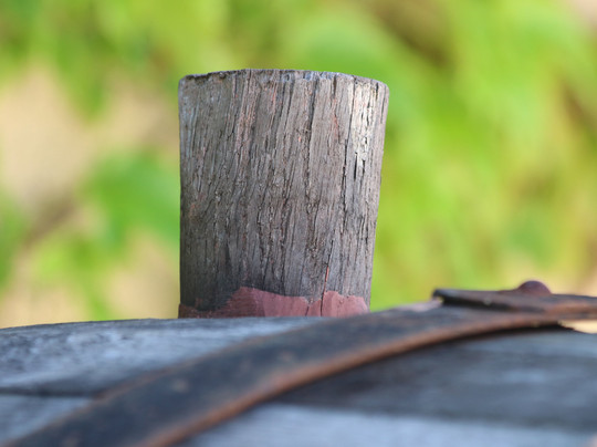 Logis Hôtellerie du Domaine de Cabasse主图