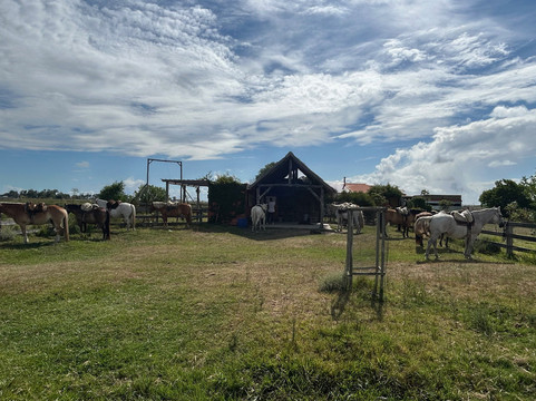 Cabalgatas Valiceras-Valizas必去景点