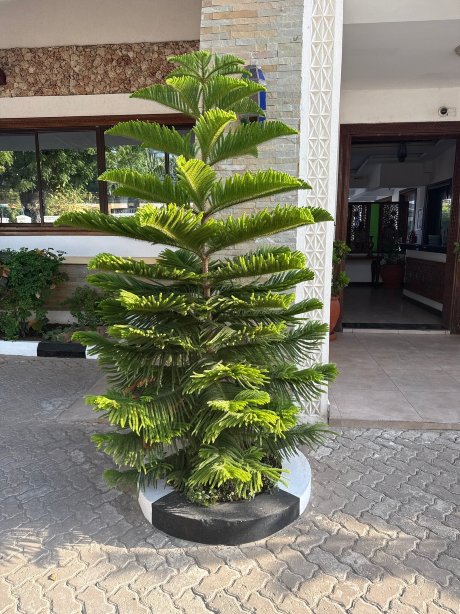 PrideInn Hotel Diani-官方