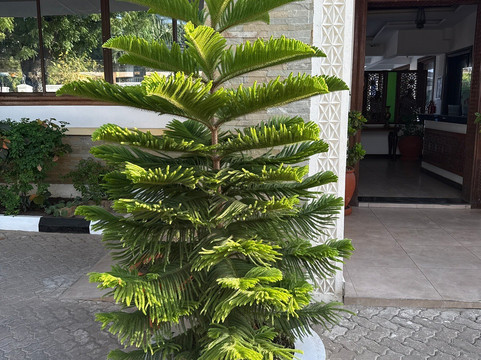 PrideInn Hotel Diani主图