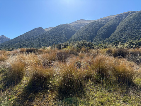 Lewis Pass-Maruia必去景点