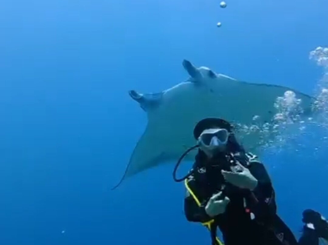 Blue Horizon-马累必去景点