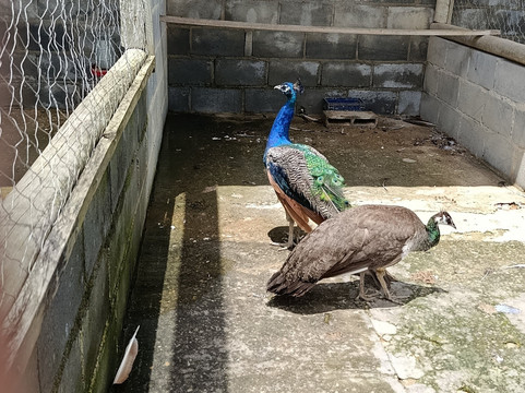 Restaurante Mini Fazendinha Tud'Roça