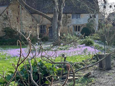 East Lambrook Manor Gardens-South Petherton必去景点