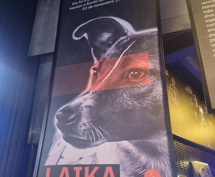 Space Adventure Canela-卡内拉必去景点