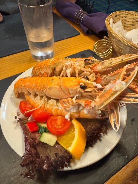 Bowmore Hotel-官方