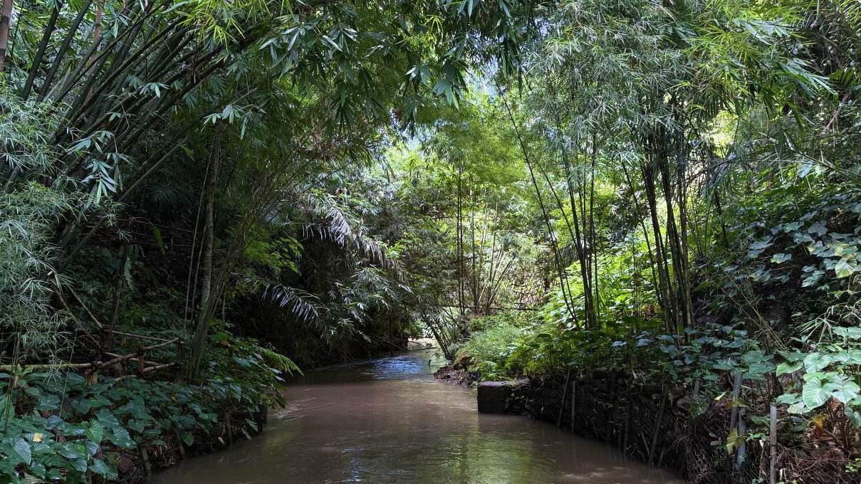 巴姆布印达酒店-浴室
