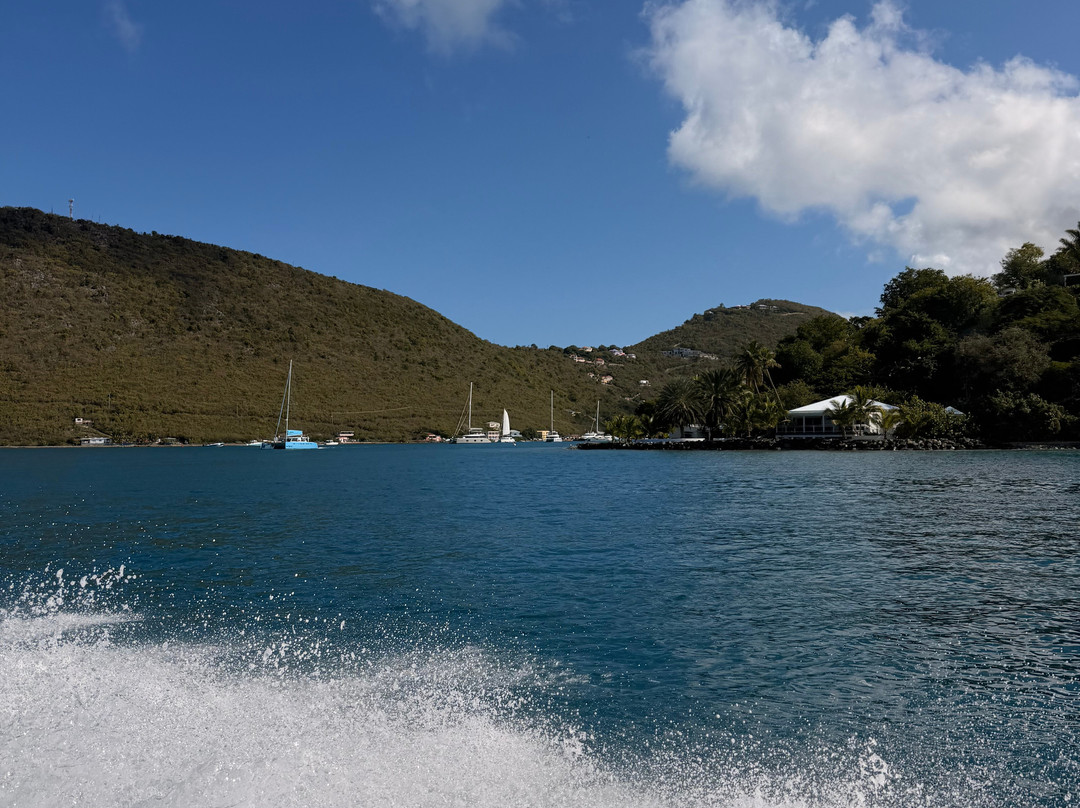 Caribbean Alibi Boat Charters-圣 托马斯必去景点